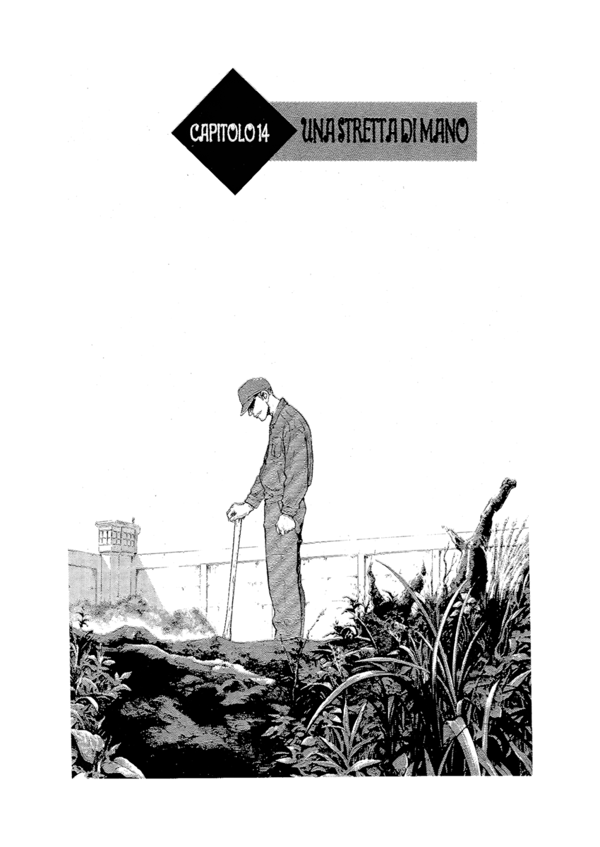 Read Shamo Manga Online