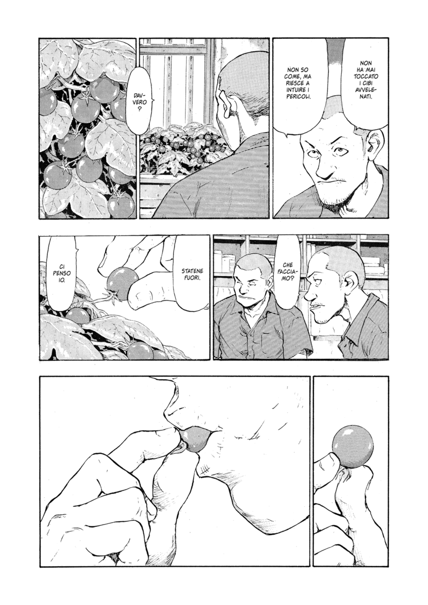 Read Shamo Manga Online