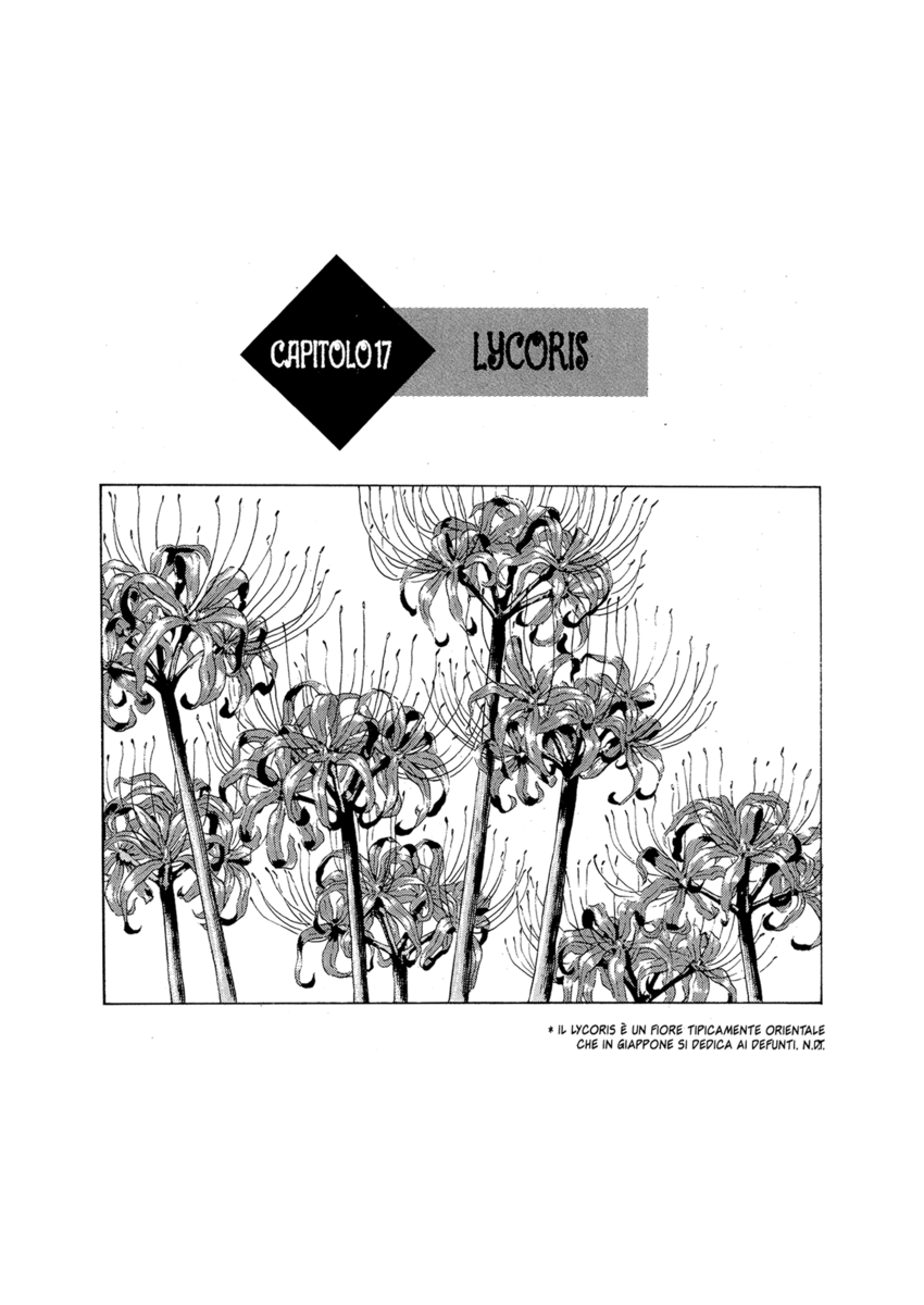 Read Shamo Manga Online