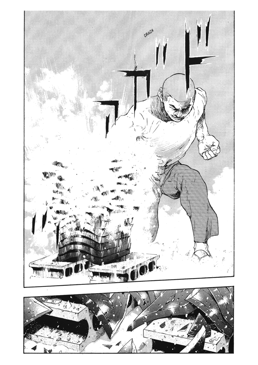 Read Shamo Manga Online