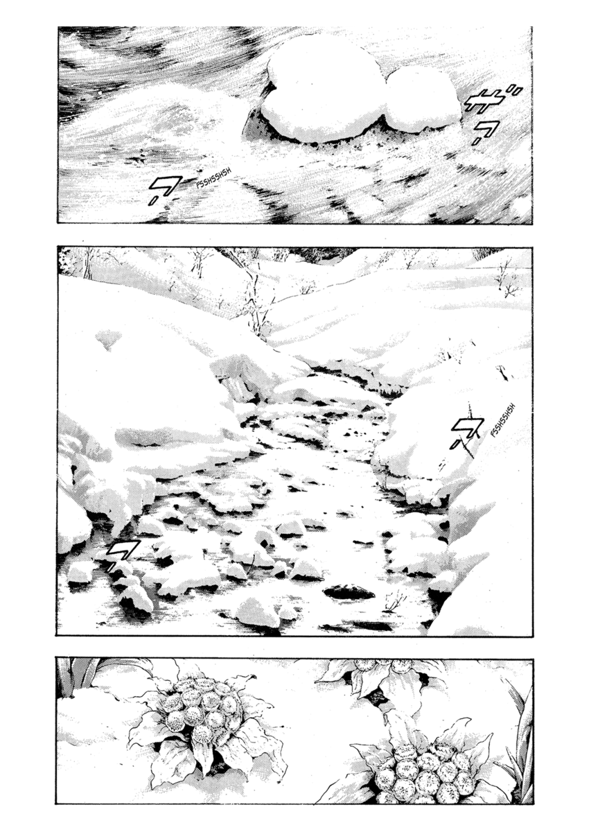 Read Shamo Manga Online