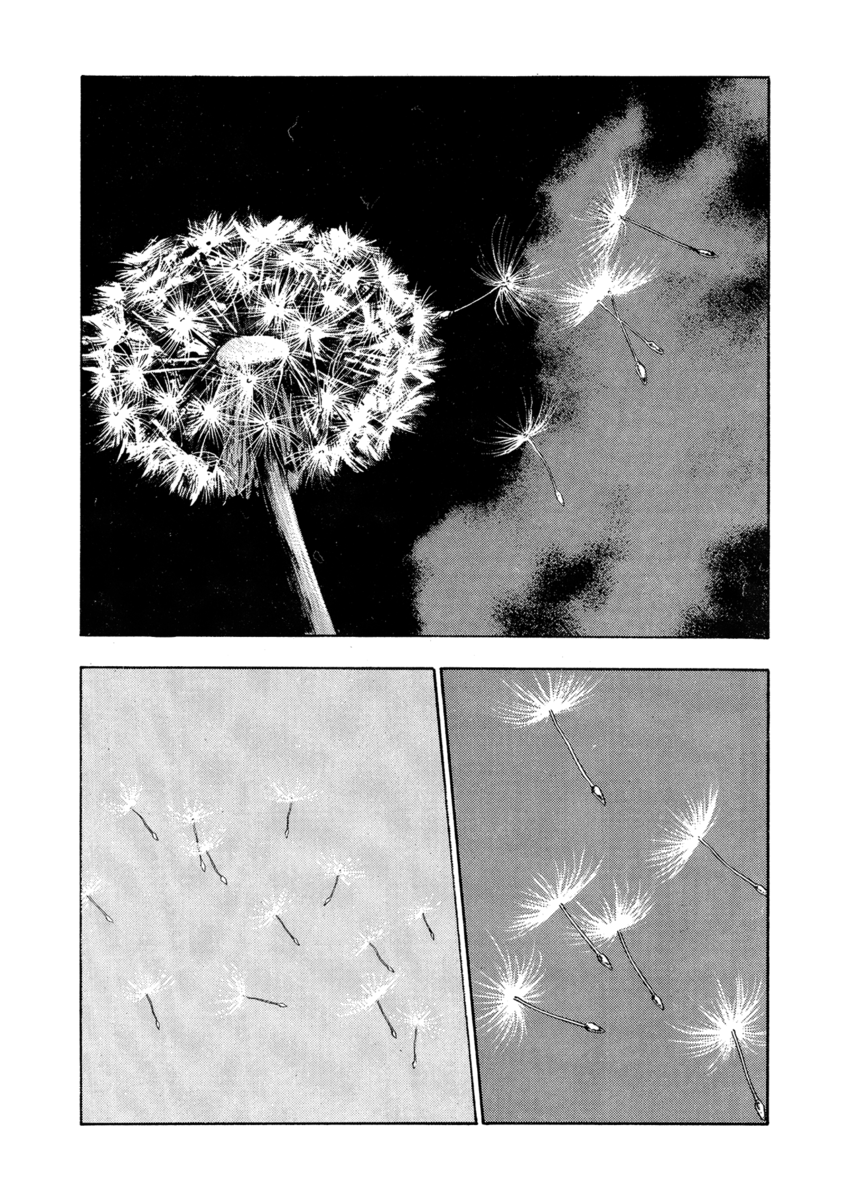 Read Shamo Manga Online