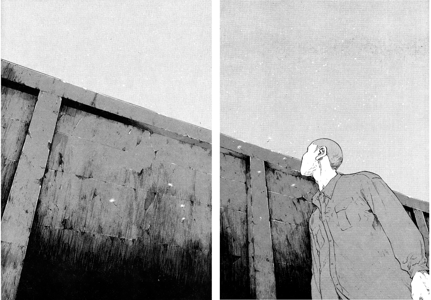 Read Shamo Manga Online