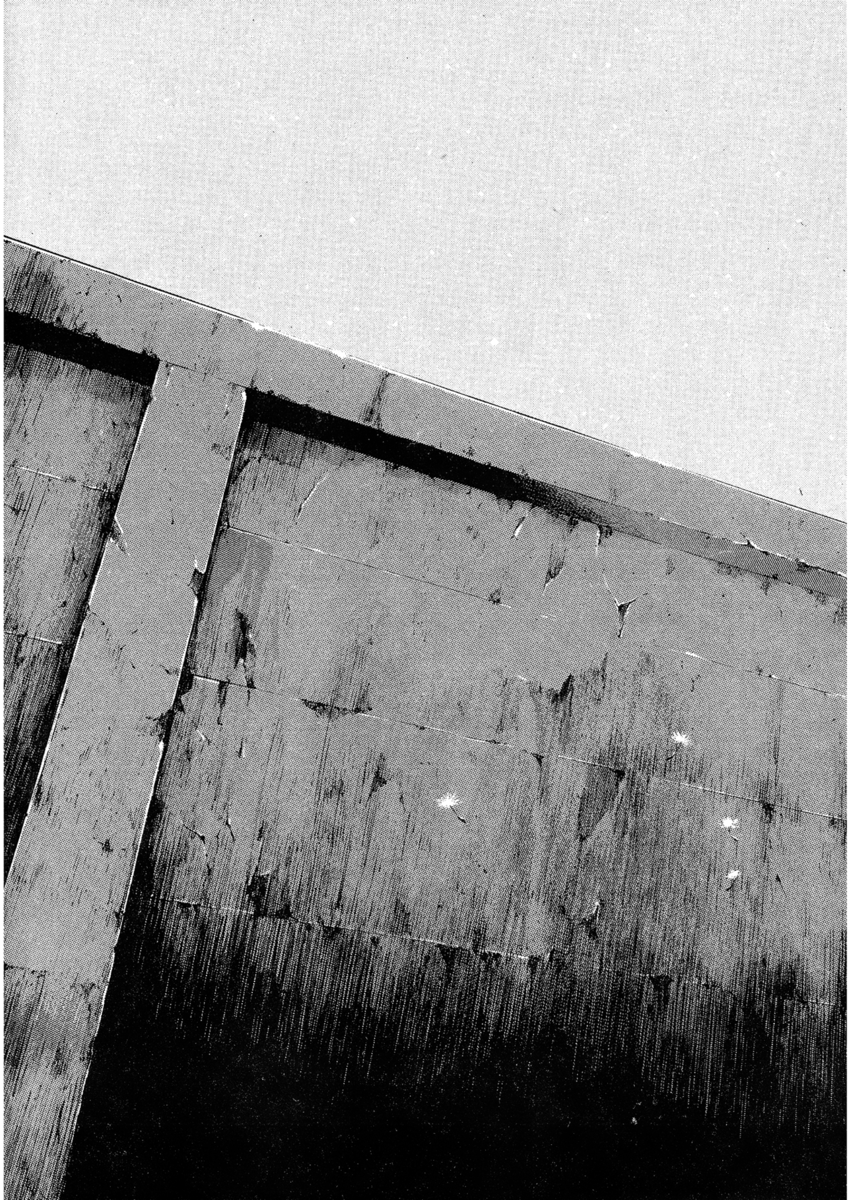 Read Shamo Manga Online