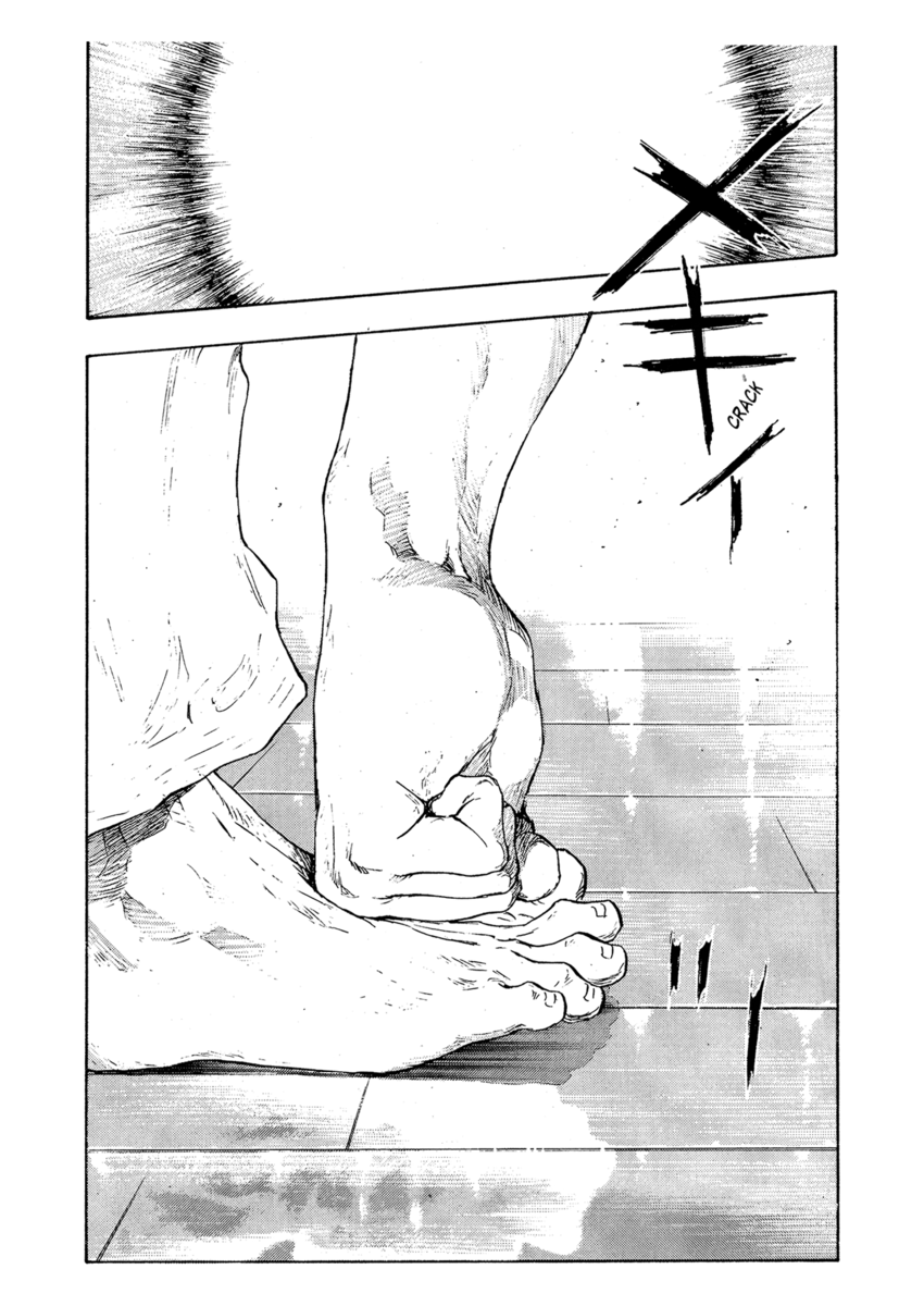 Read Shamo Manga Online