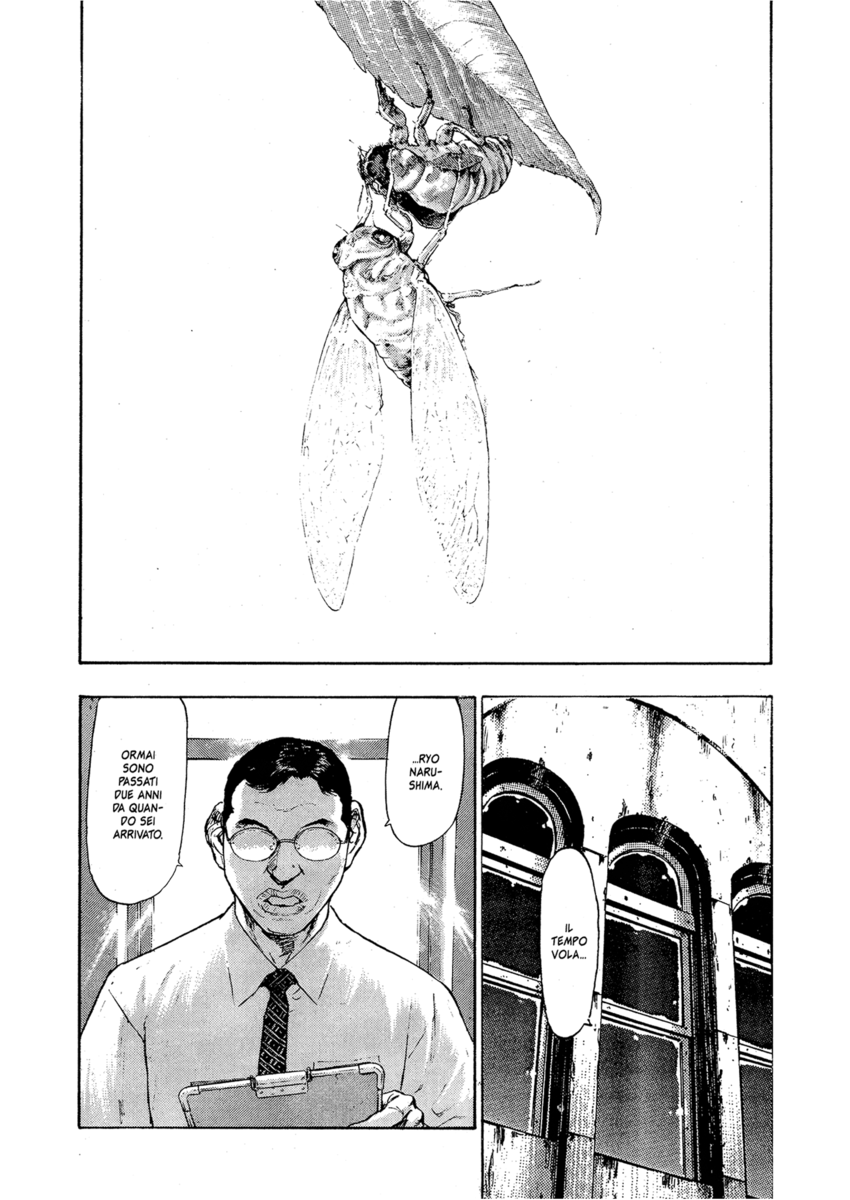 Read Shamo Manga Online