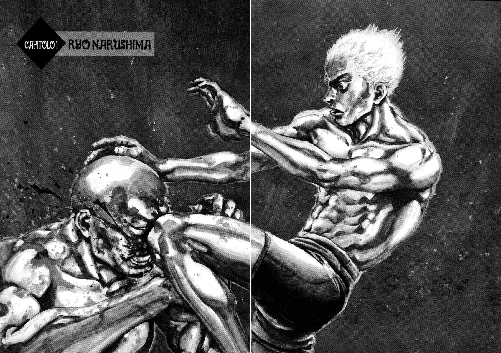 Read Shamo Manga Online