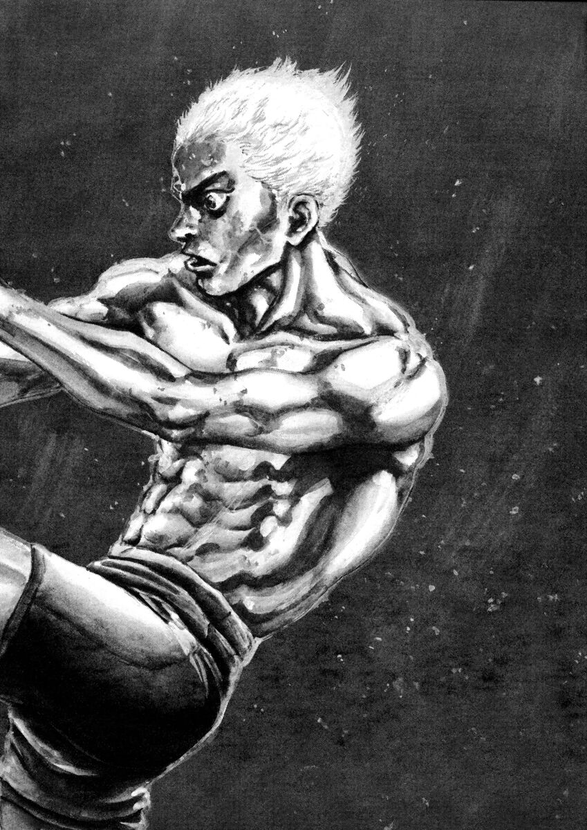 Read Shamo Manga Online