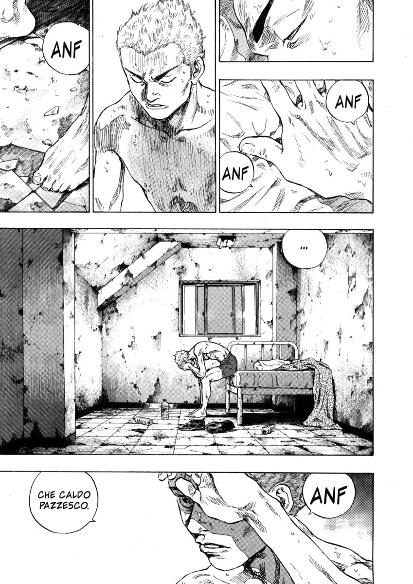 Read Shamo Manga Online