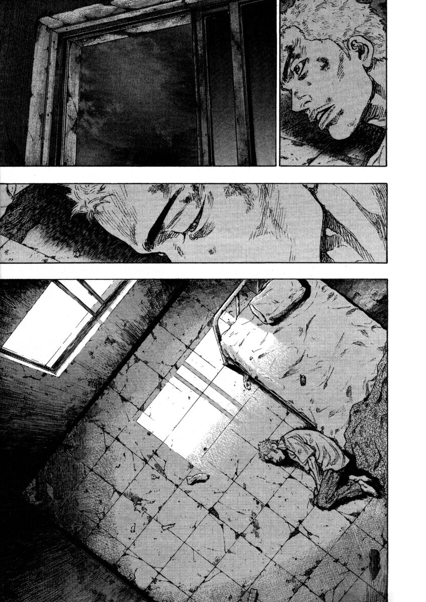 Read Shamo Manga Online