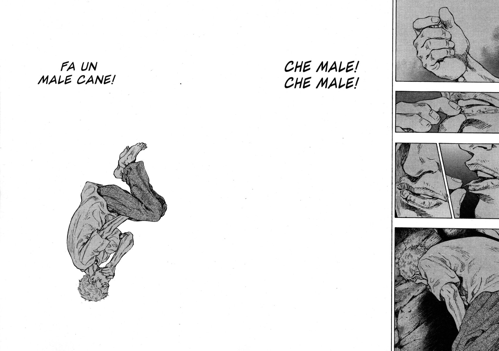 Read Shamo Manga Online