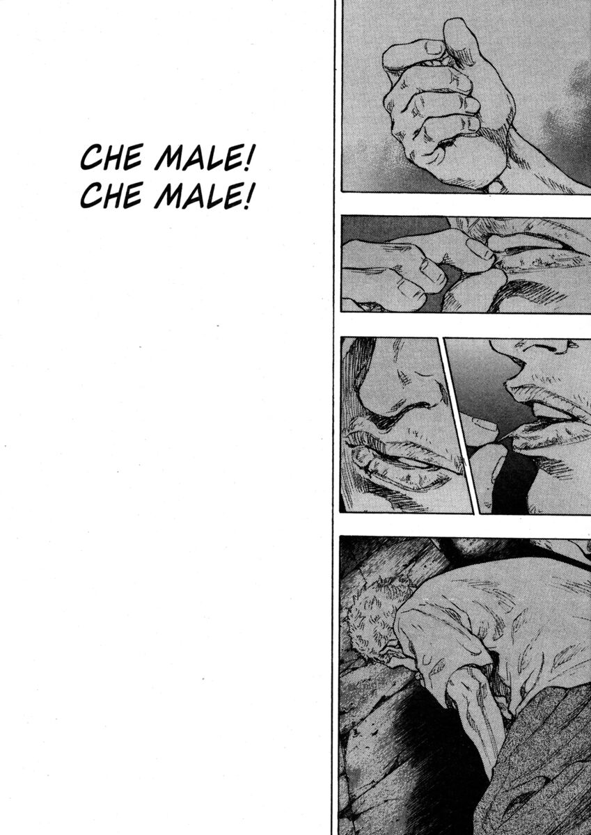 Read Shamo Manga Online