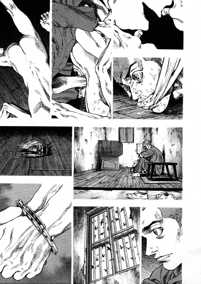 Read Shamo Manga Online