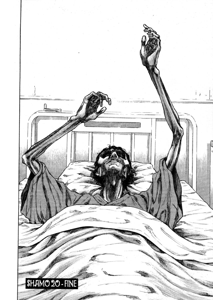 Read Shamo Manga Online