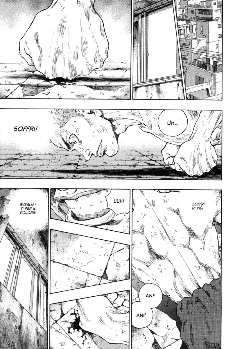 Read Shamo Manga Online