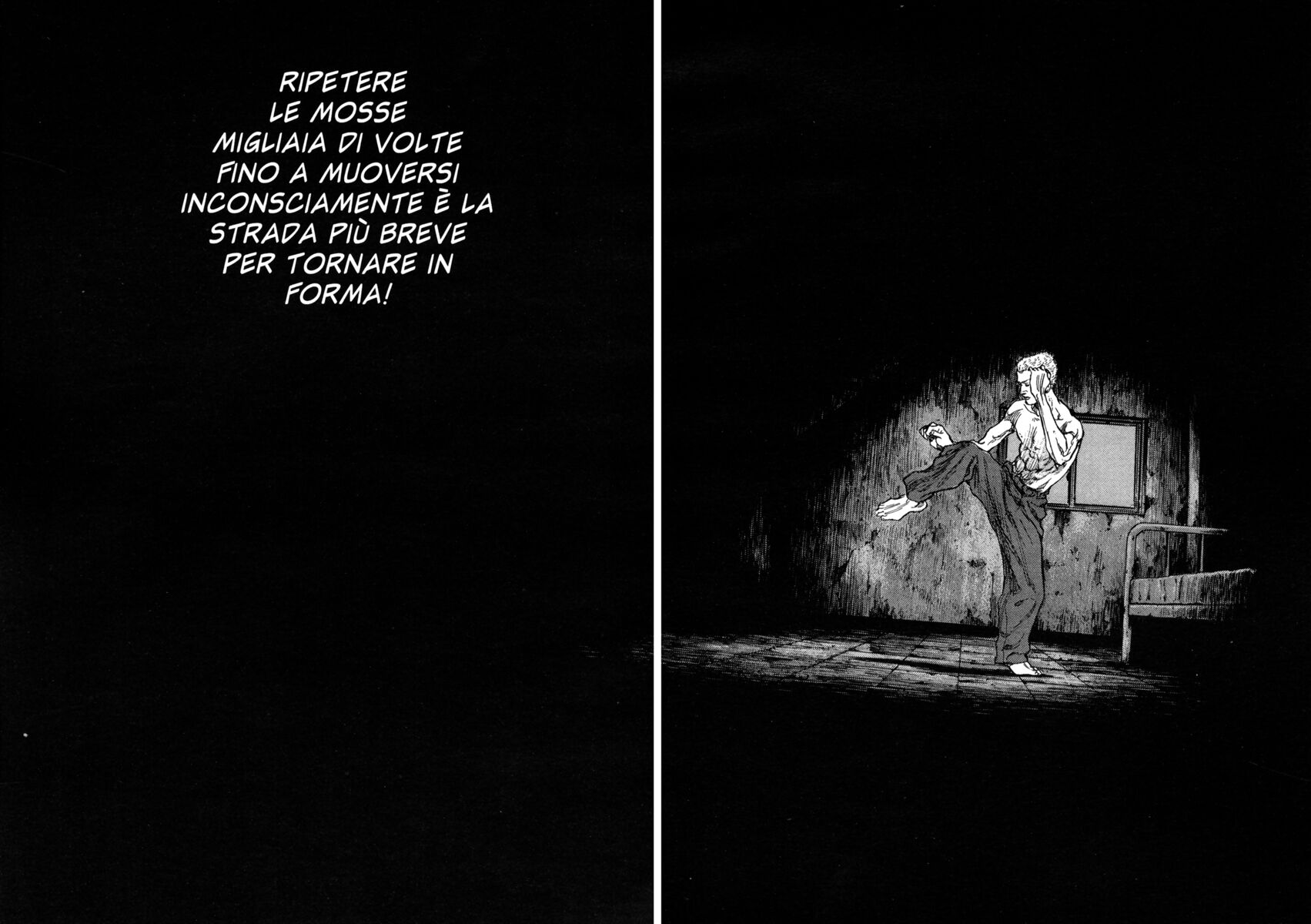 Read Shamo Manga Online