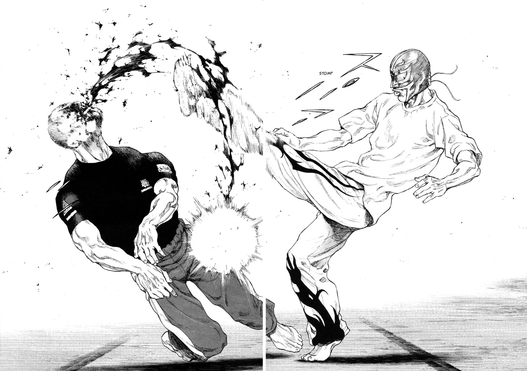 Read Shamo Manga Online