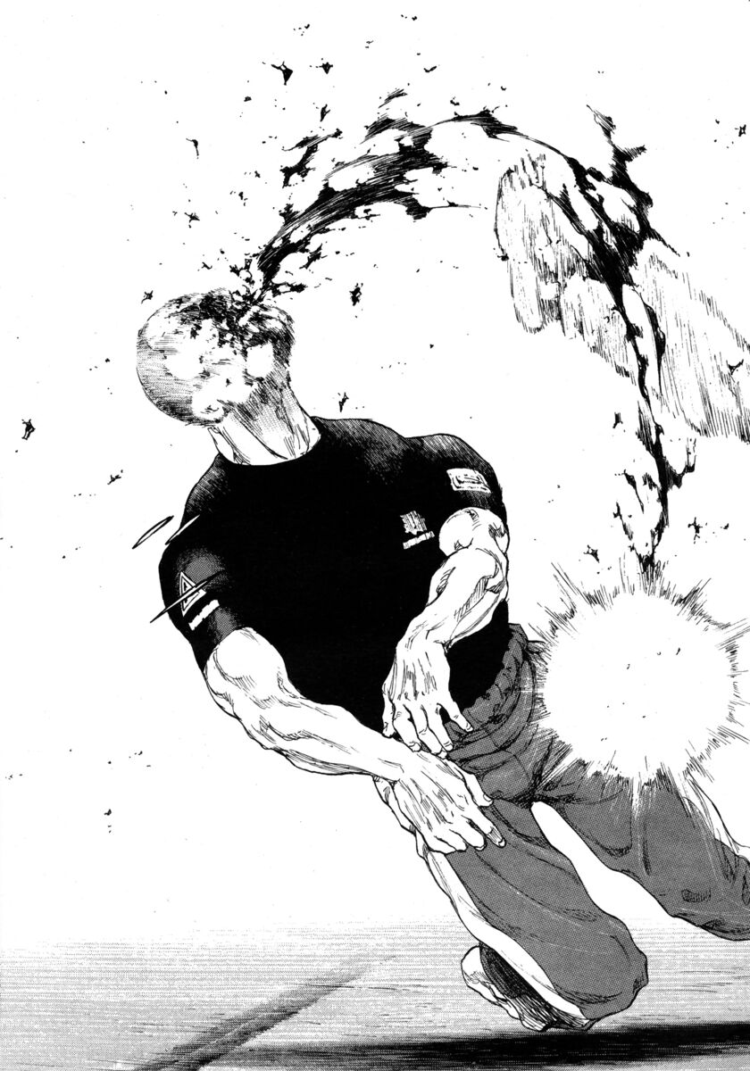 Read Shamo Manga Online