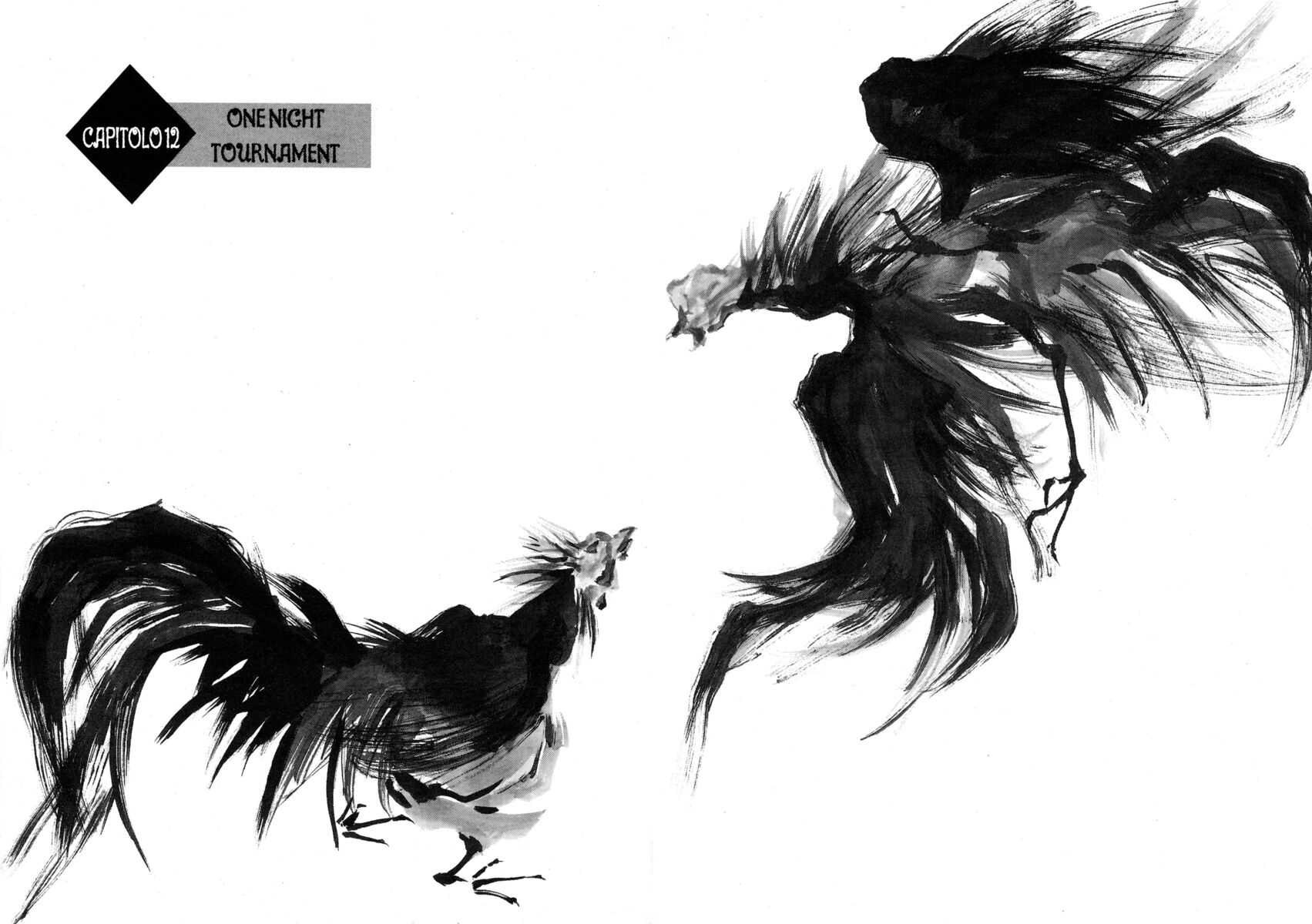 Read Shamo Manga Online