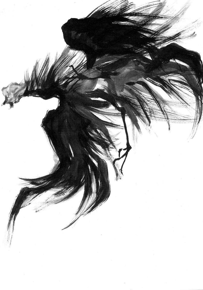 Read Shamo Manga Online