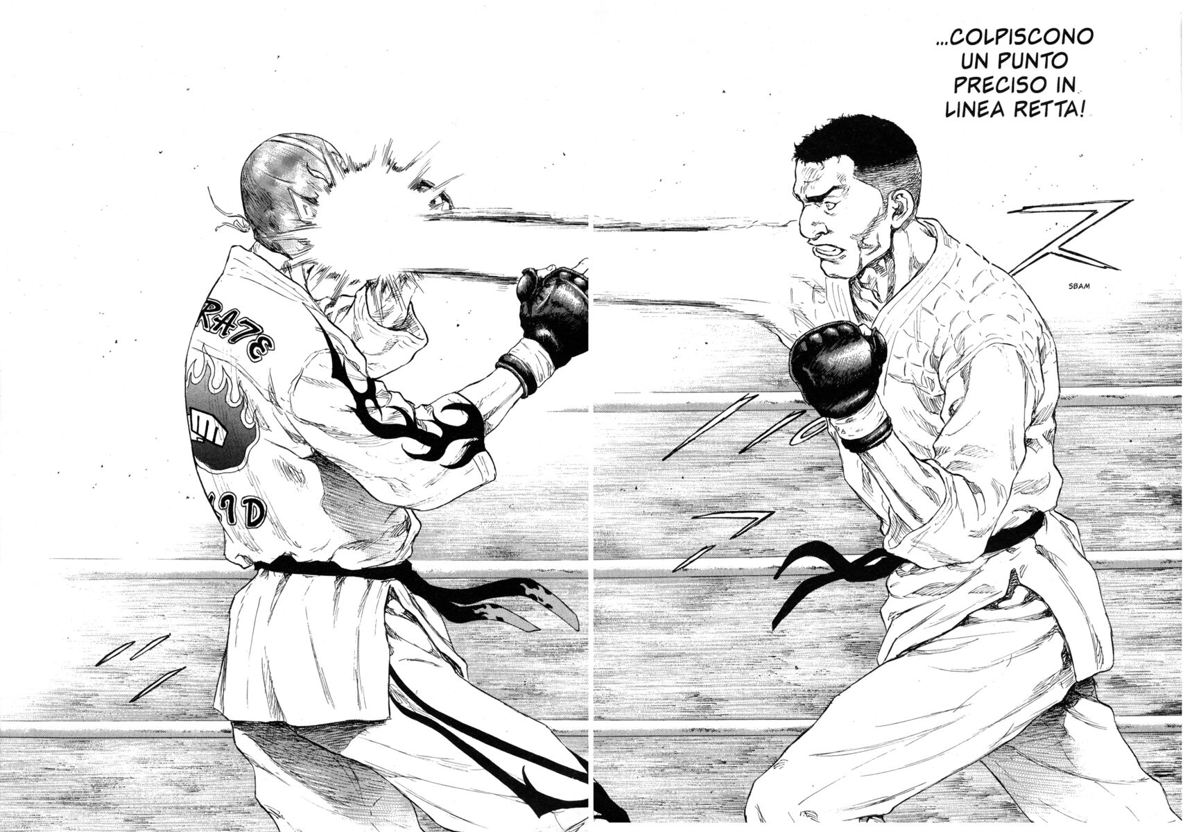 Read Shamo Manga Online