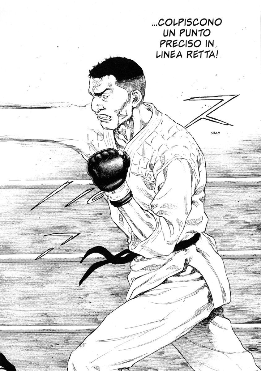 Read Shamo Manga Online