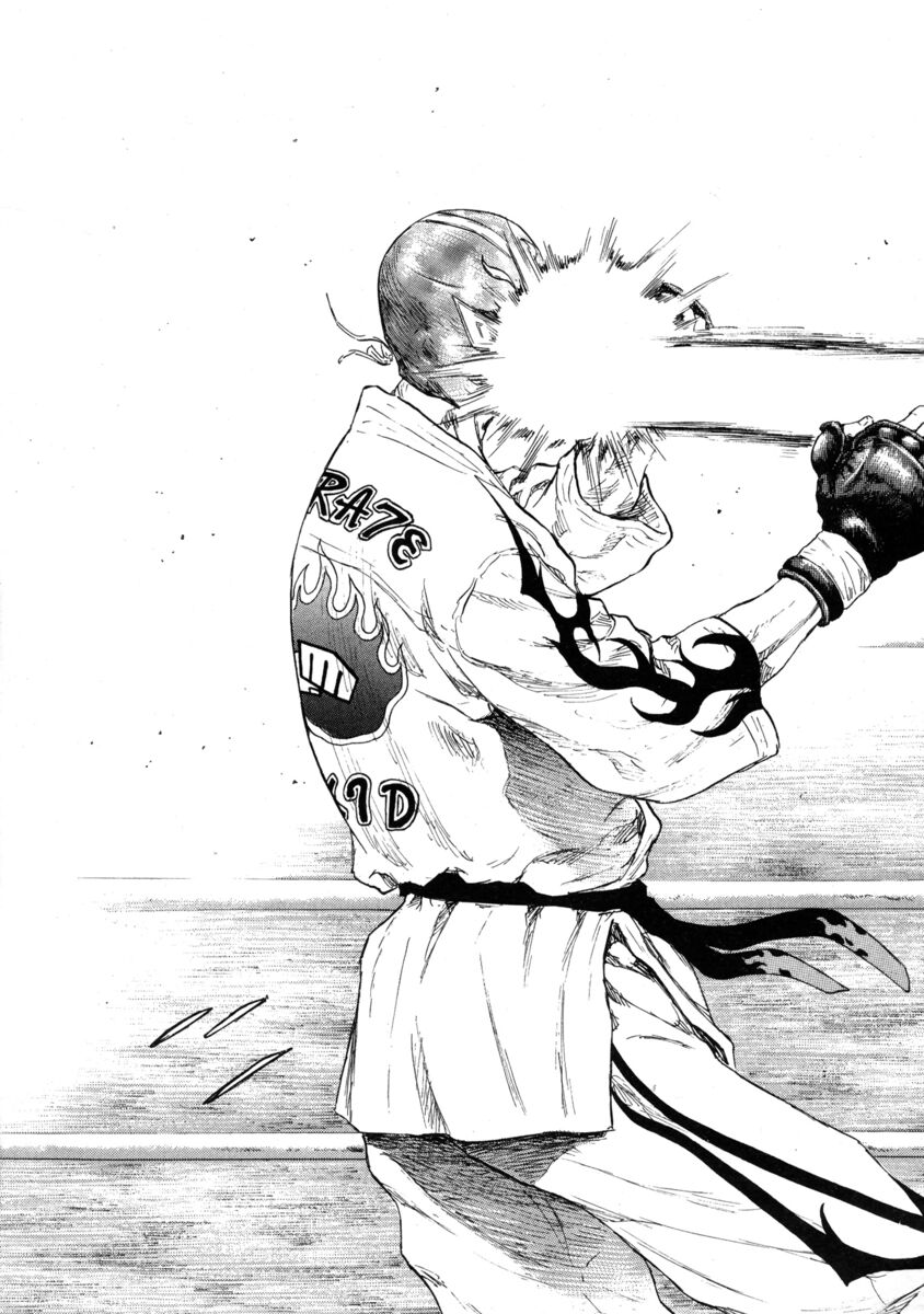 Read Shamo Manga Online