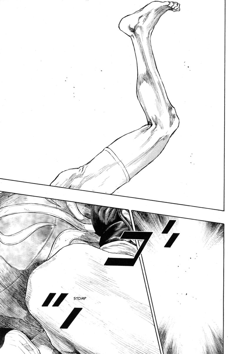 Read Shamo Manga Online