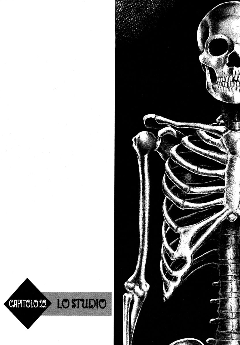 Read Shamo Manga Online