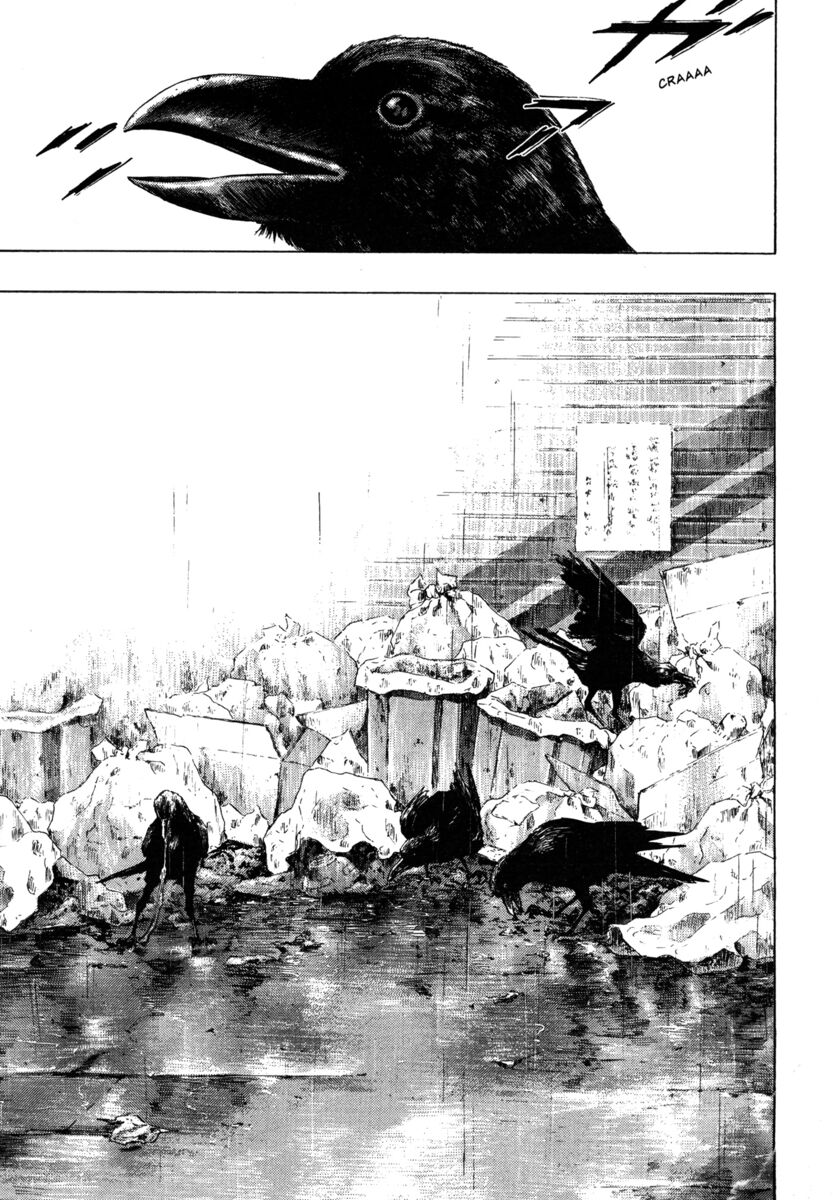 Read Shamo Manga Online
