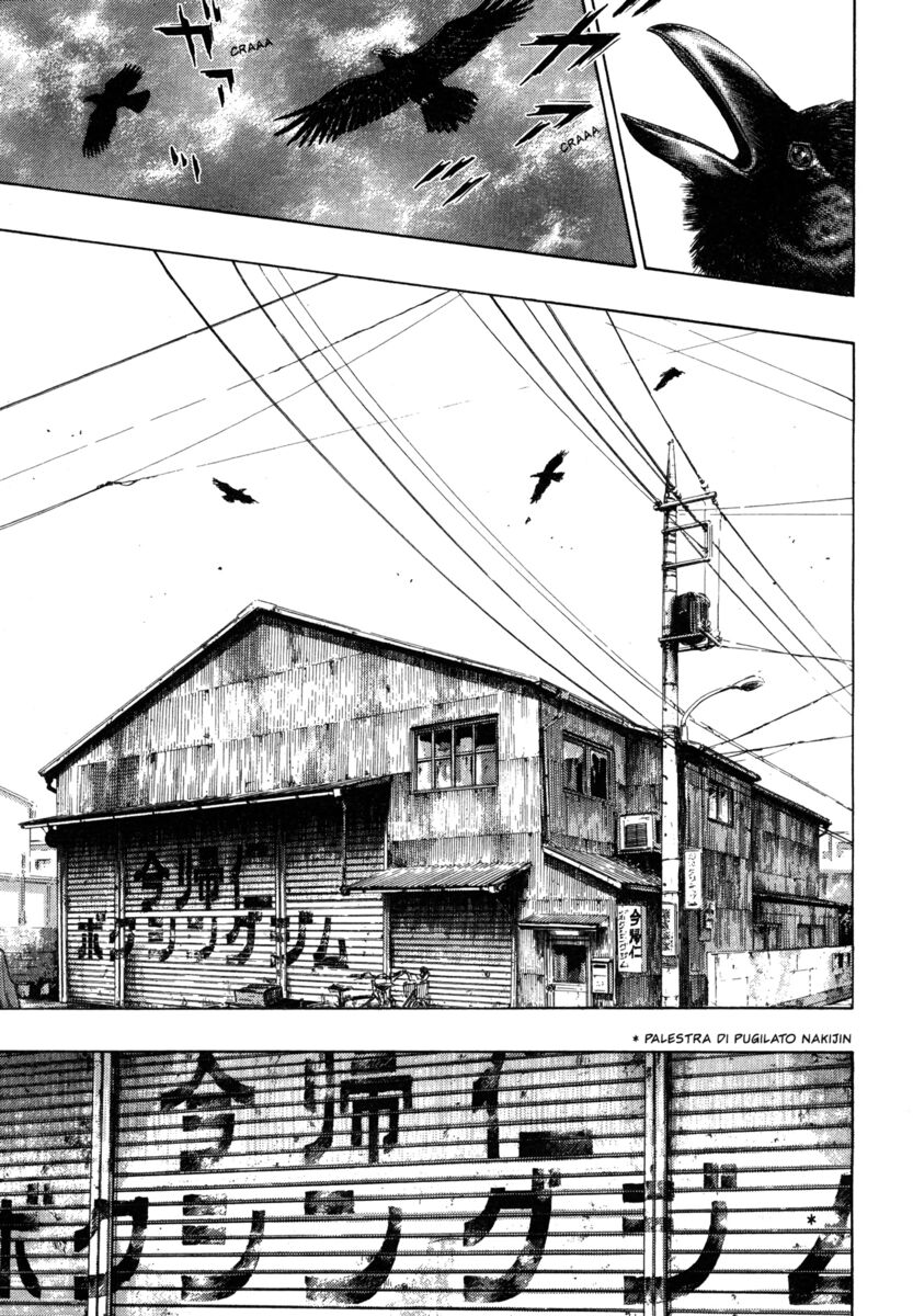 Read Shamo Manga Online