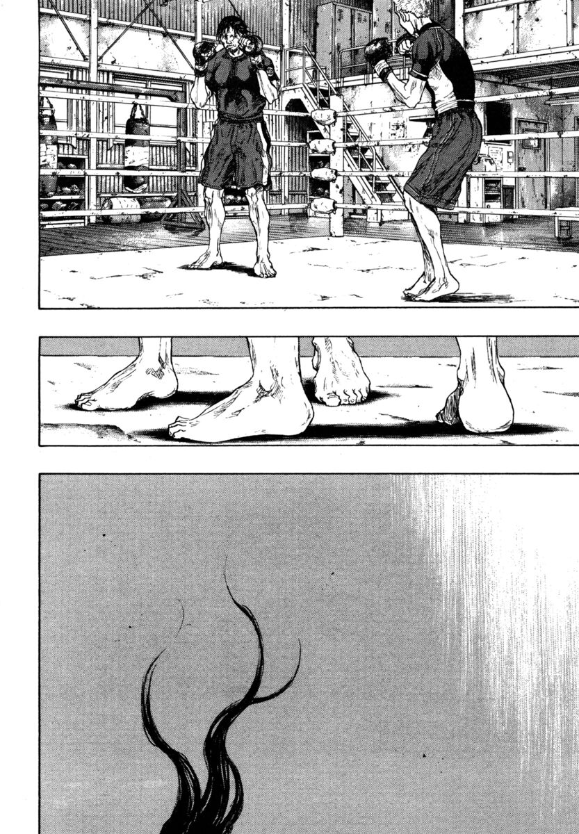 Read Shamo Manga Online