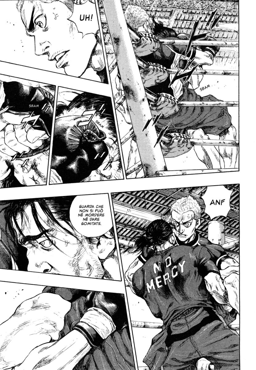 Read Shamo Manga Online