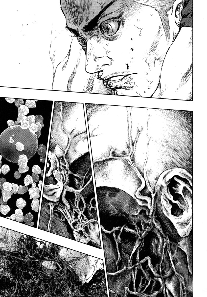 Read Shamo Manga Online