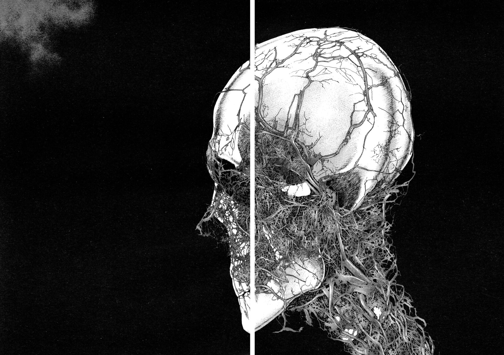 Read Shamo Manga Online