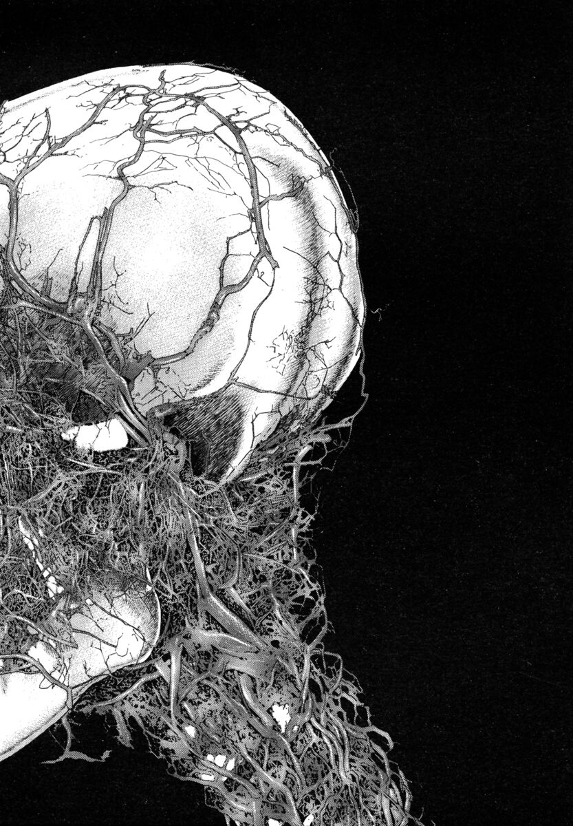 Read Shamo Manga Online