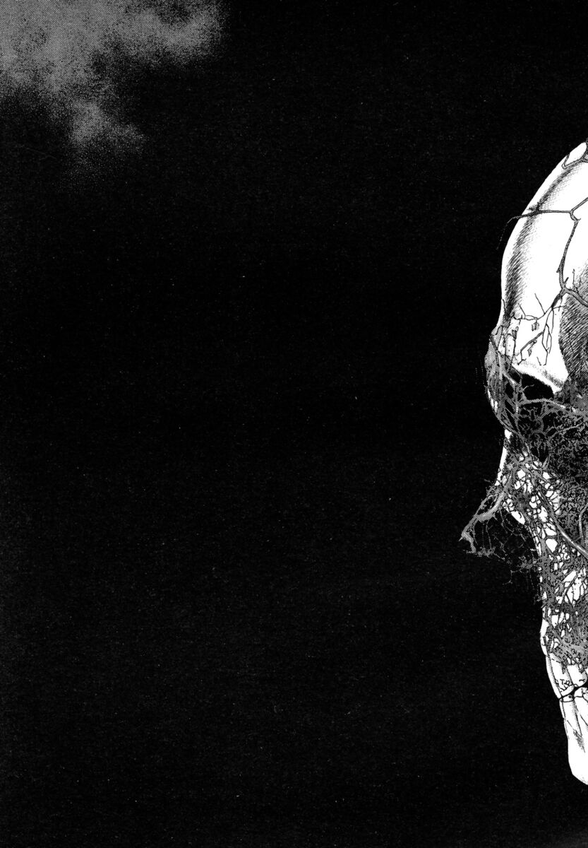 Read Shamo Manga Online