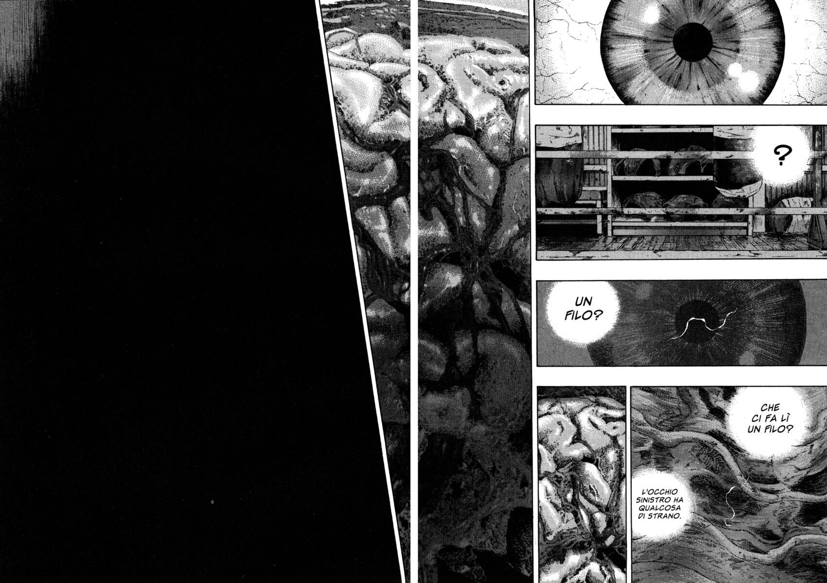 Read Shamo Manga Online