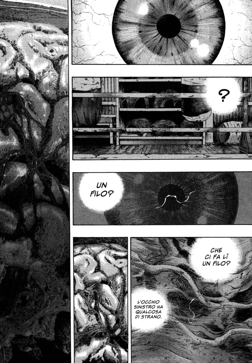 Read Shamo Manga Online