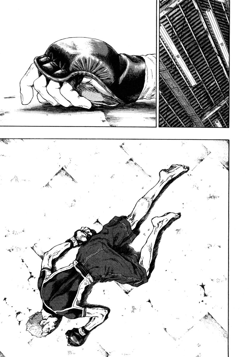 Read Shamo Manga Online