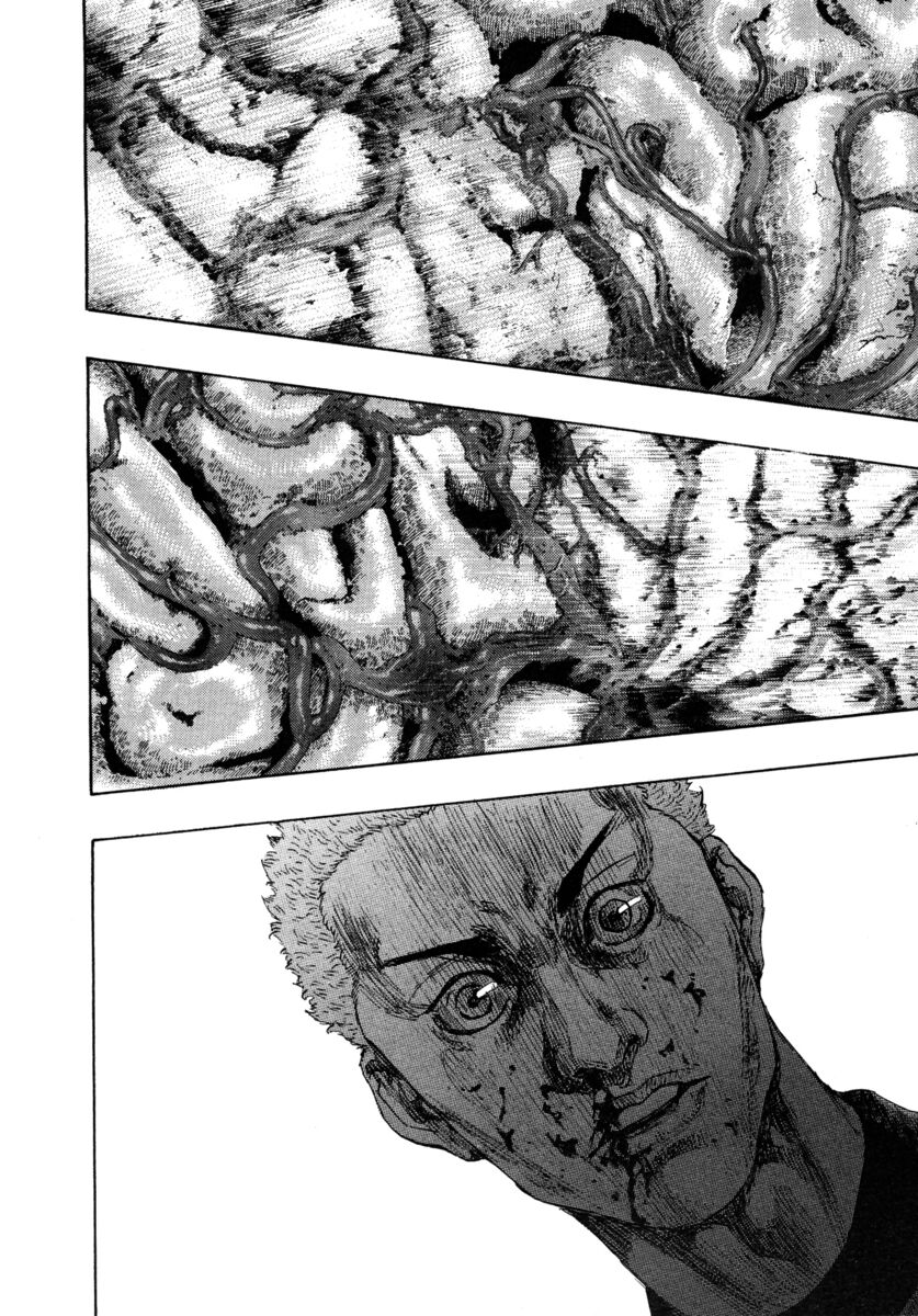 Read Shamo Manga Online