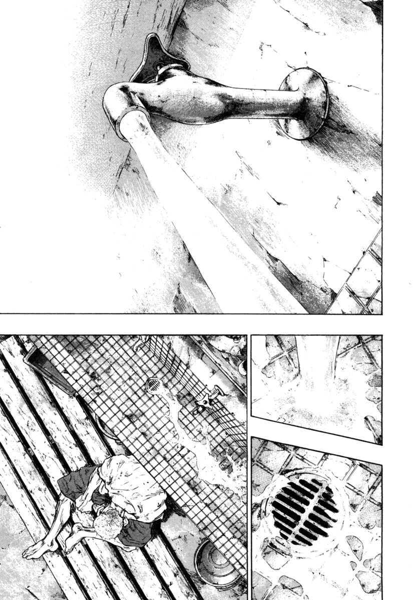 Read Shamo Manga Online