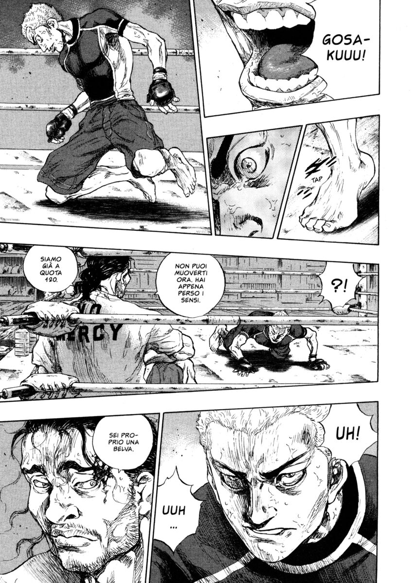 Read Shamo Manga Online