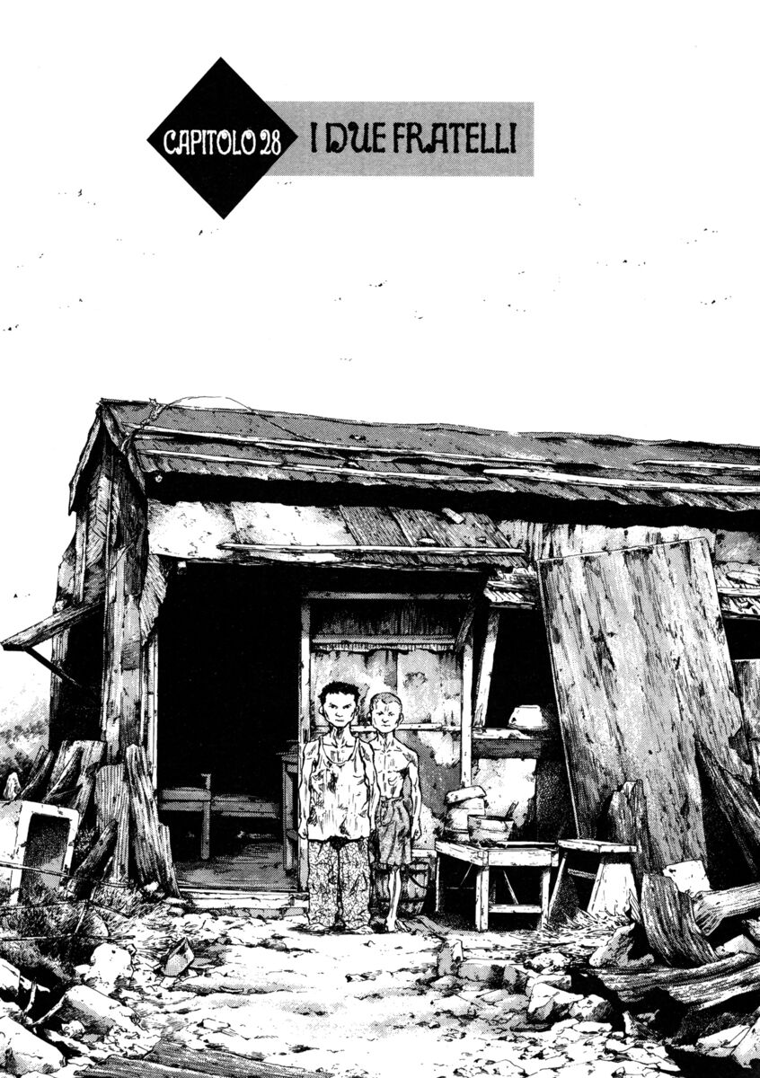 Read Shamo Manga Online