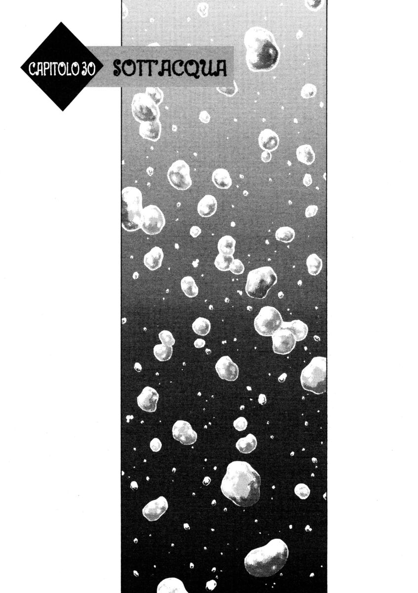 Read Shamo Manga Online