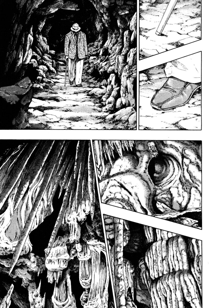 Read Shamo Manga Online