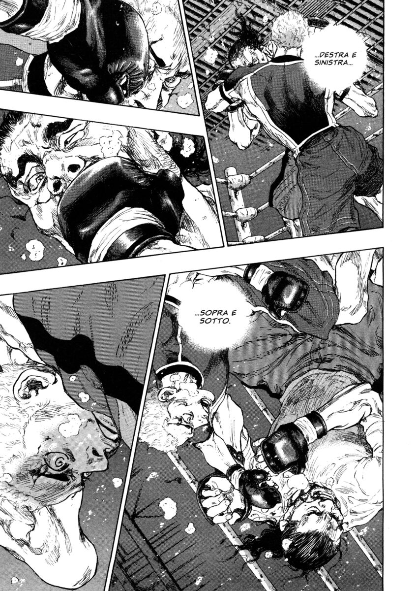 Read Shamo Manga Online