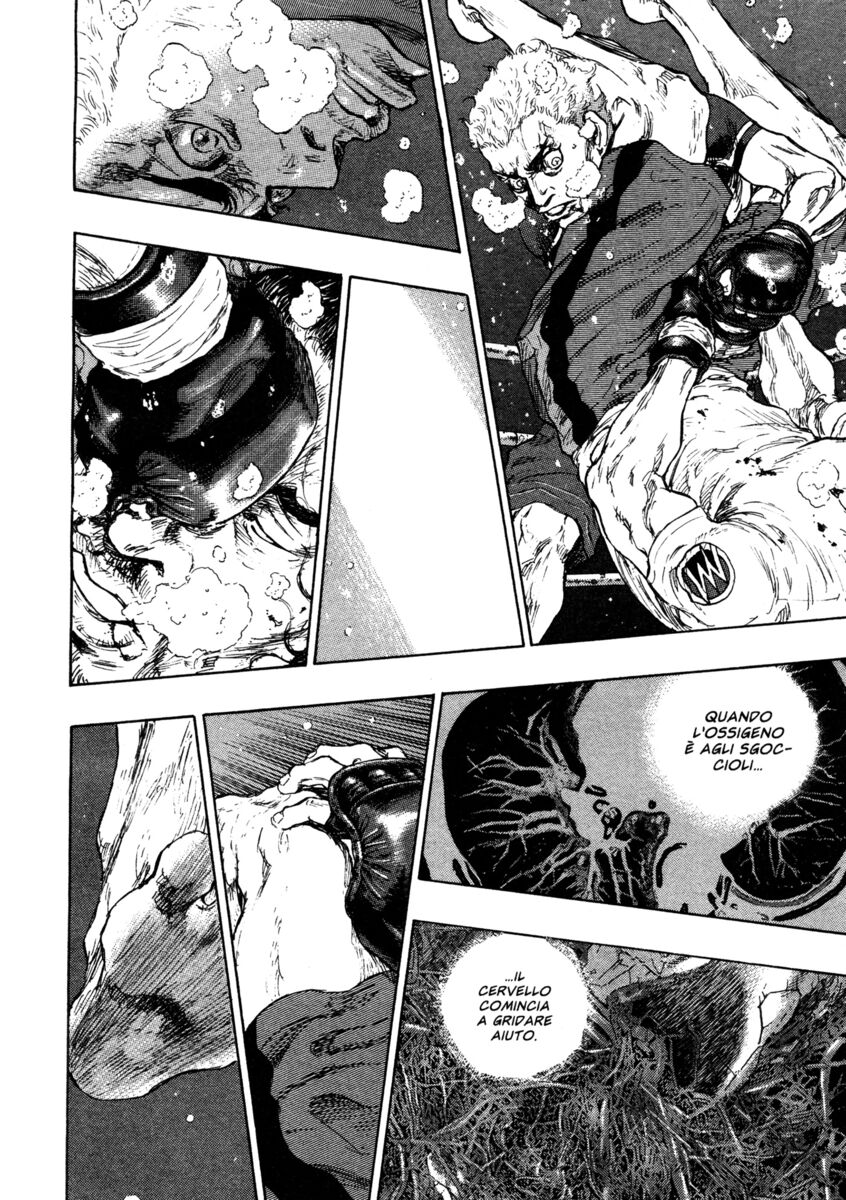 Read Shamo Manga Online