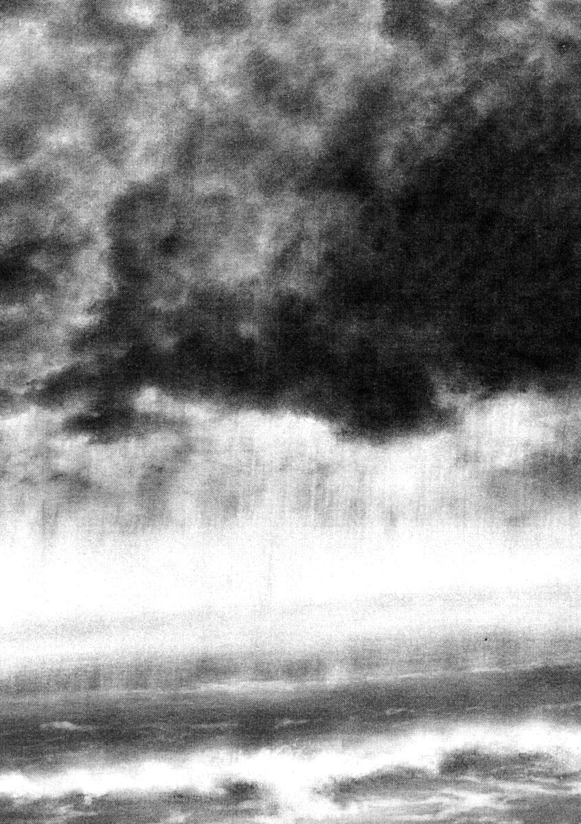 Read Shamo Manga Online