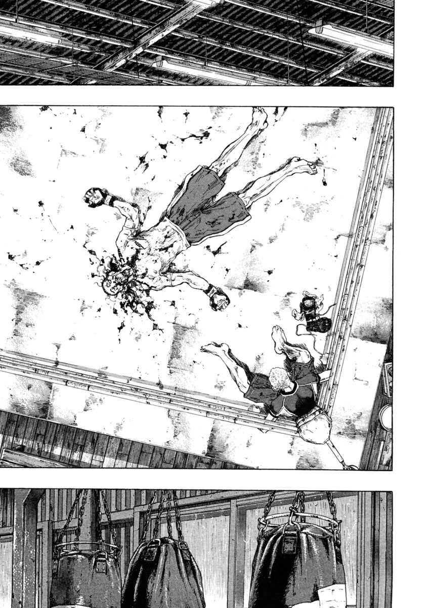 Read Shamo Manga Online